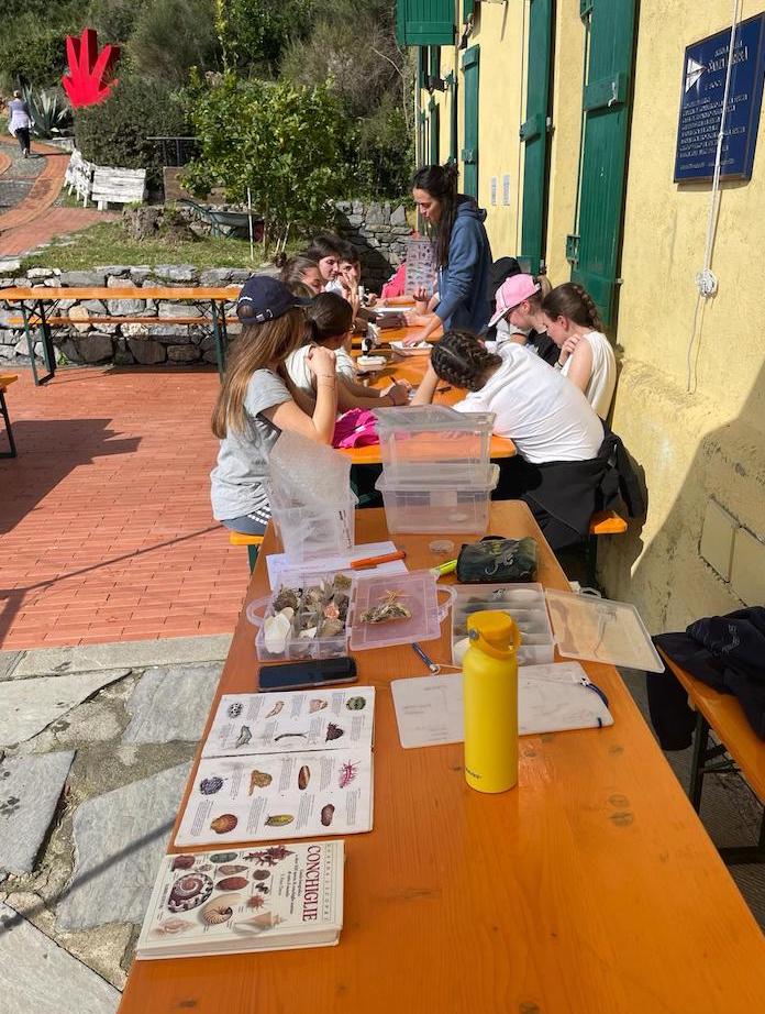 scuola di mare attivita ambiente Scuola di Mare