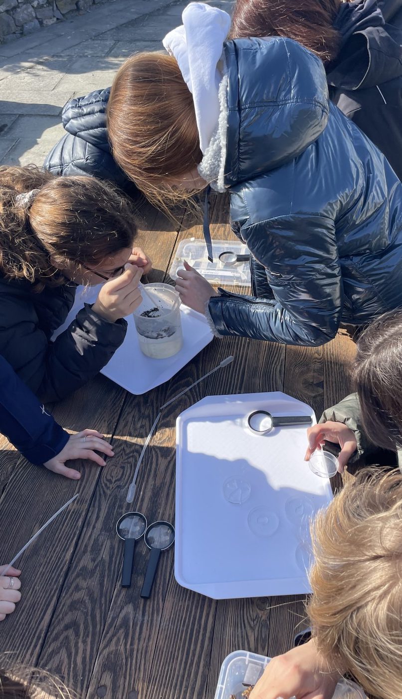 scuola di mare studio ambiente ragazzi Extreme Sports Mountain Climbing